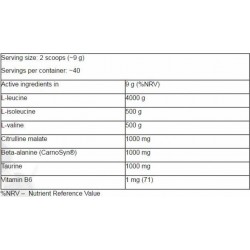 FA Nutrition CORE BCAA 8:1:1 - 350 gr